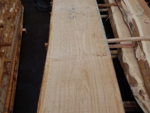 unedged slavonian oak timber, unbesäumtes slawonischen Eichenschnittholz - Imperius woodtrading