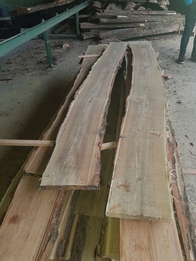 Akazie Schnittholz, Robinie acacia lumber - Imperius woodtrading