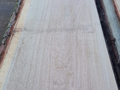Unbesäumtes Eichenschnittholz - Unedged Oak Lumber